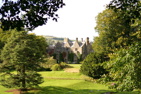 Music, Yoga & Nature Retreat image 0